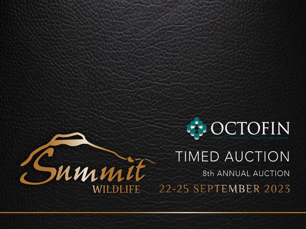 Summit Wildlife Timed Auction 2023